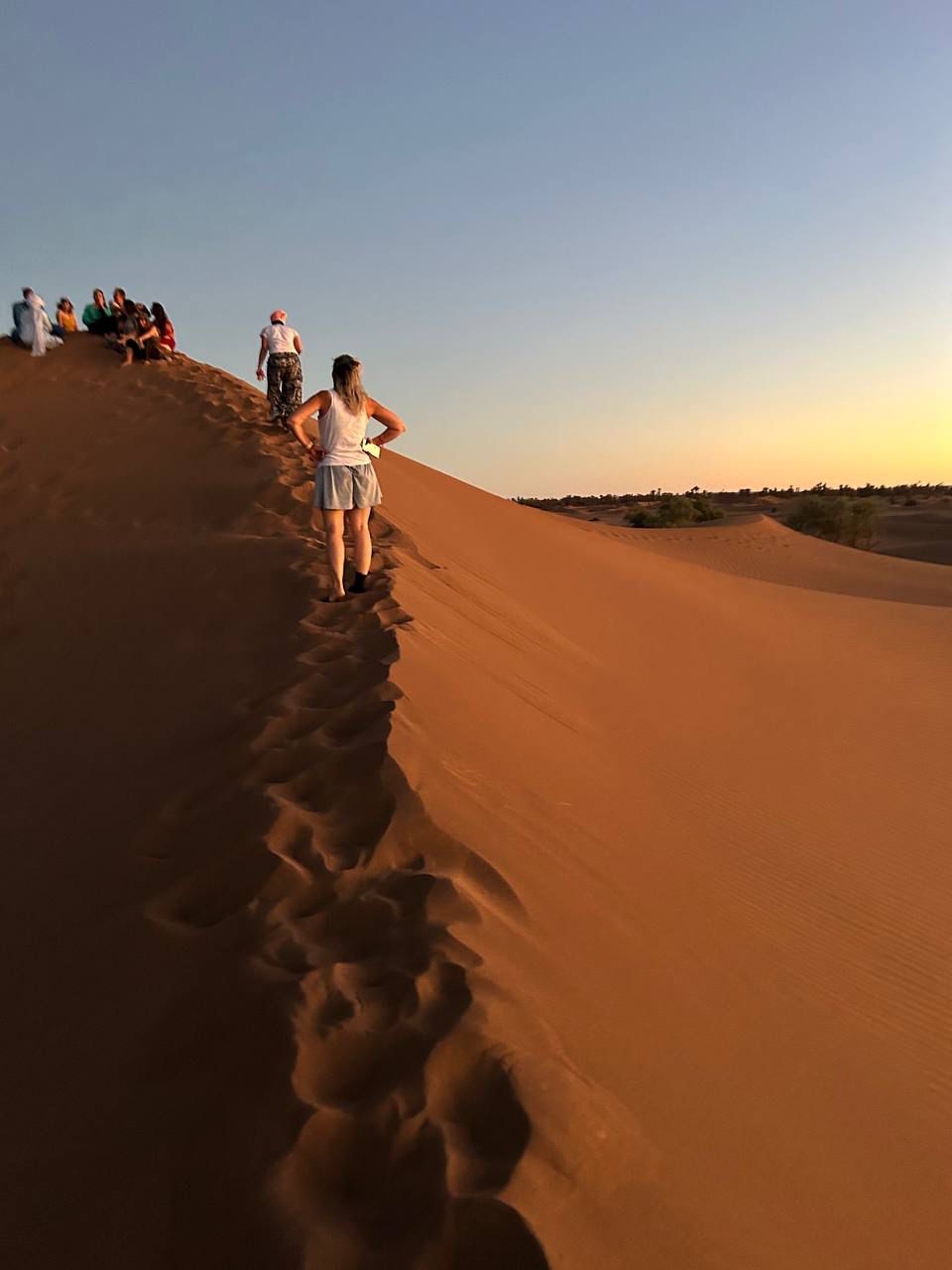 Guide dans le désert